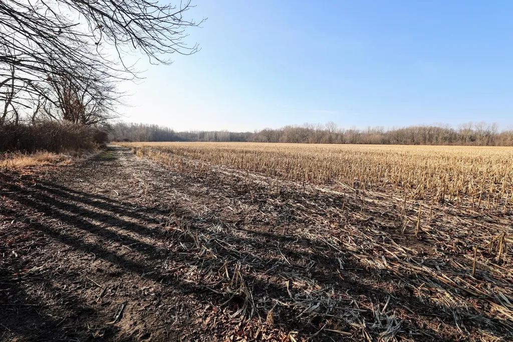 1767 Flanders Road Eaton Township MI 48813