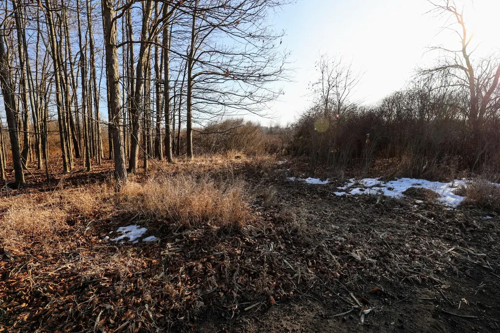 1767 Flanders Road Eaton Township MI 48813