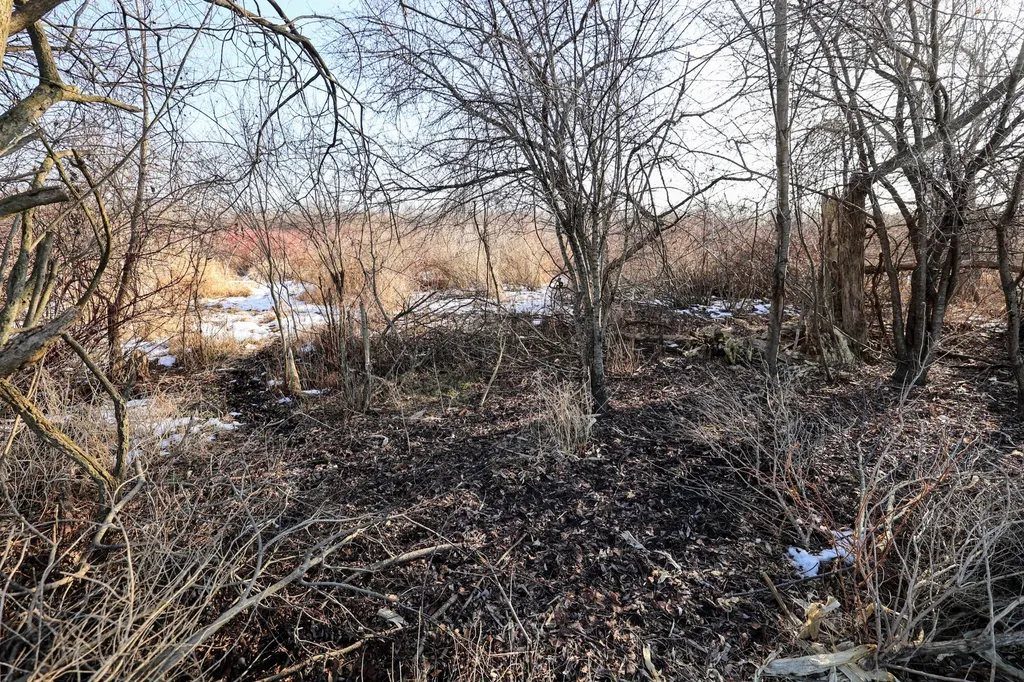 1767 Flanders Road Eaton Township MI 48813