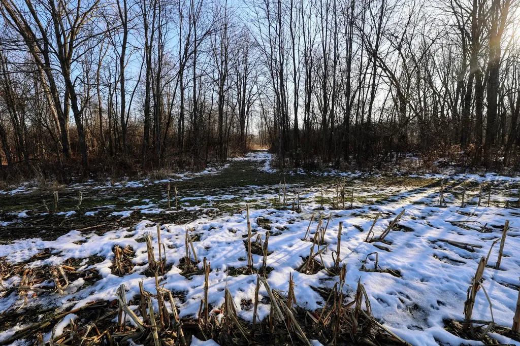 1767 Flanders Road Eaton Township MI 48813
