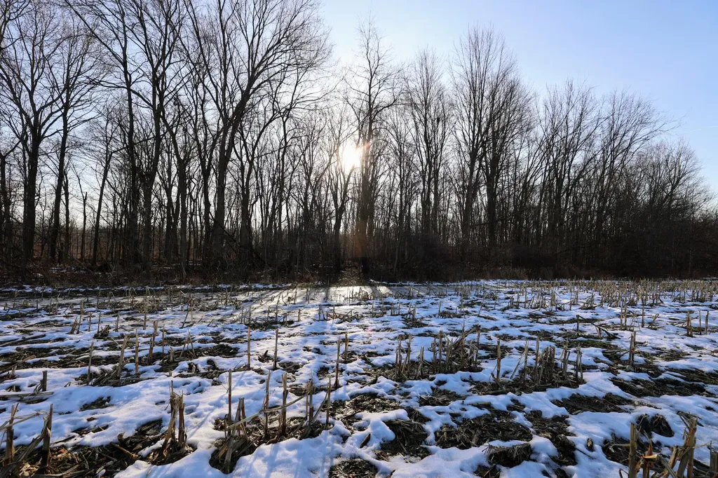 1767 Flanders Road Eaton Township MI 48813
