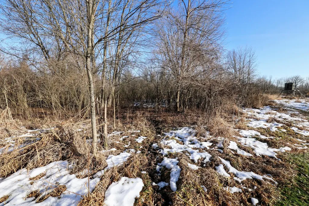 1767 Flanders Road Eaton Township MI 48813