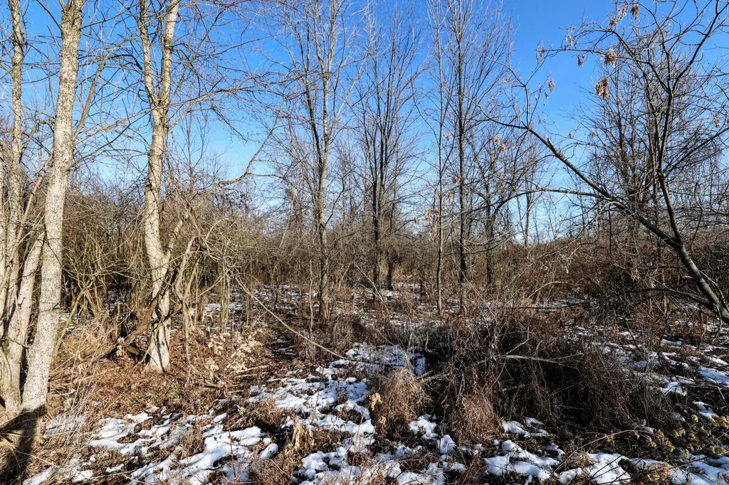 1767 Flanders Road Eaton Township MI 48813