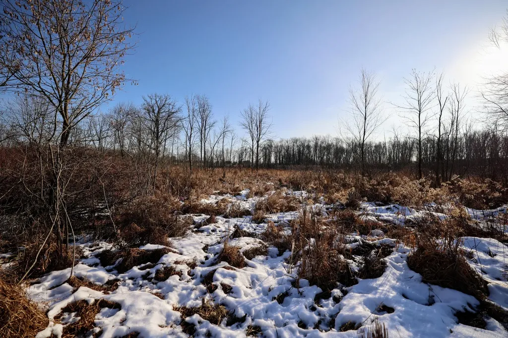 1767 Flanders Road Eaton Township MI 48813