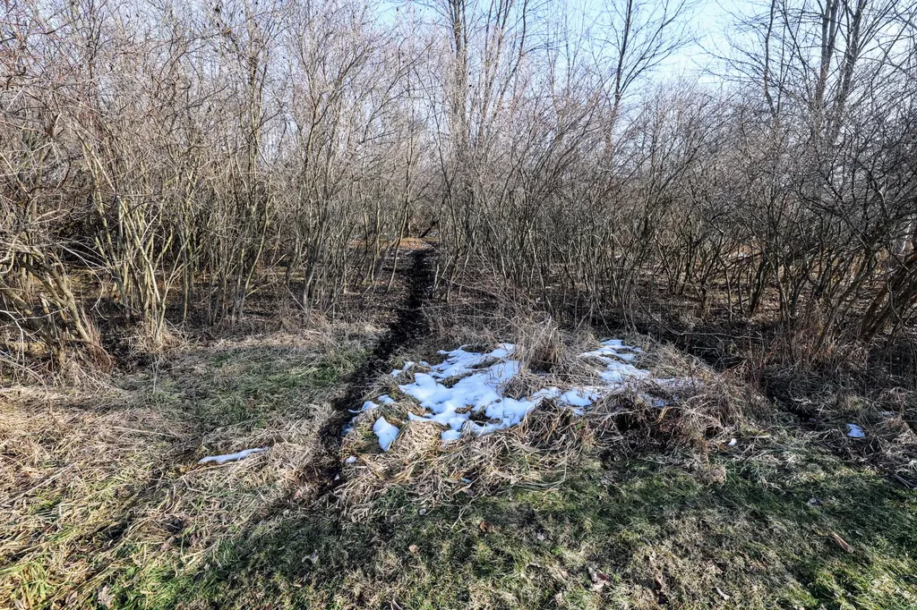 1767 Flanders Road Eaton Township MI 48813