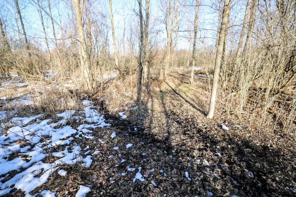 1767 Flanders Road Eaton Township MI 48813