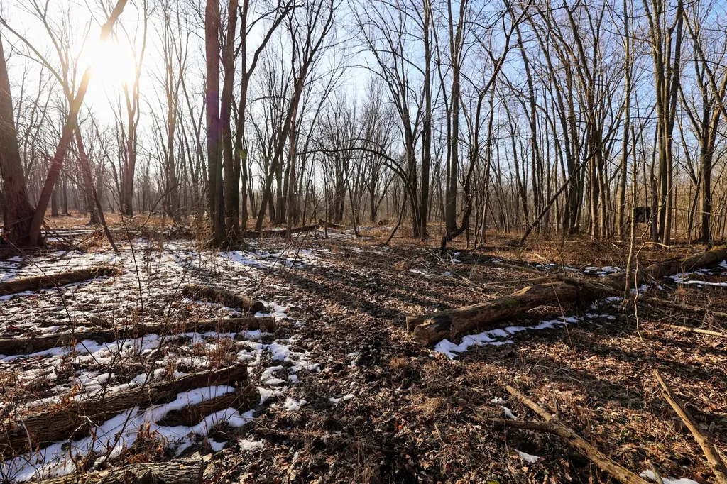 1767 Flanders Road Eaton Township MI 48813