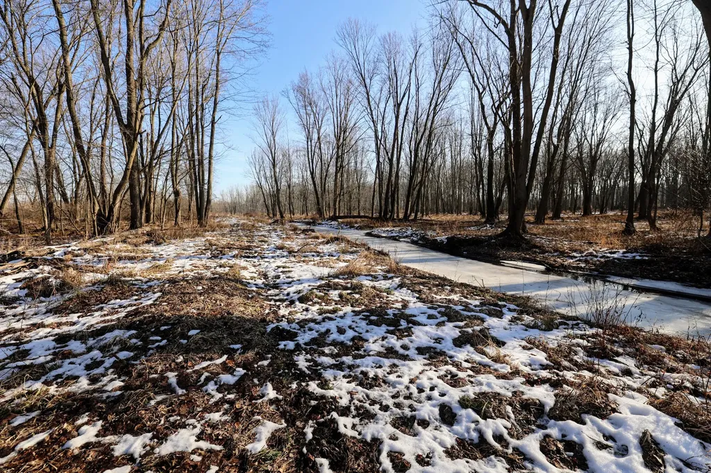 1767 Flanders Road Eaton Township MI 48813