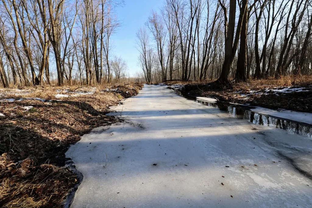 1767 Flanders Road Eaton Township MI 48813