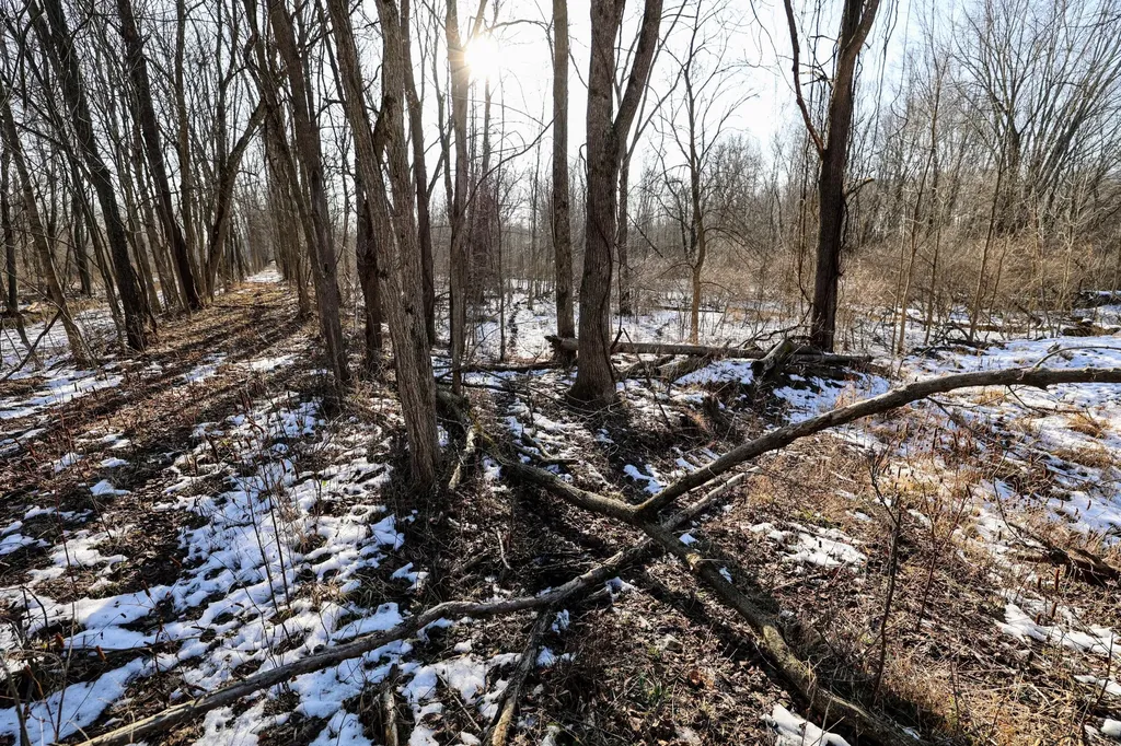 1767 Flanders Road Eaton Township MI 48813