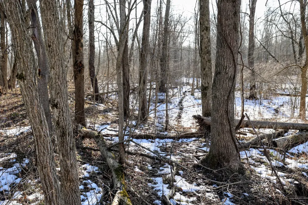 1767 Flanders Road Eaton Township MI 48813