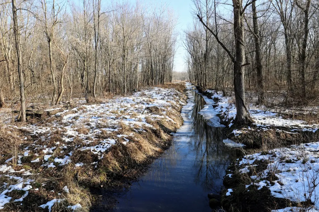 1767 Flanders Road Eaton Township MI 48813