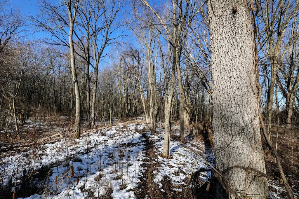 1767 Flanders Road Eaton Township MI 48813