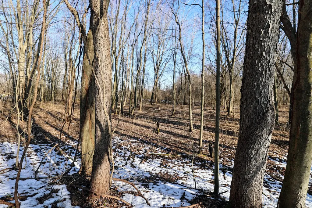 1767 Flanders Road Eaton Township MI 48813