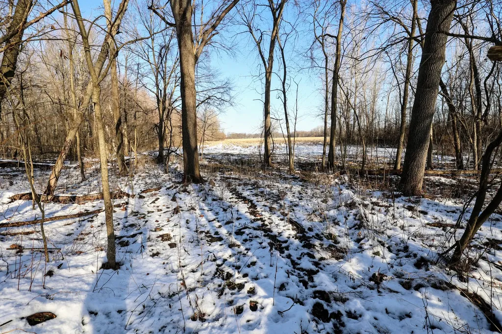 1767 Flanders Road Eaton Township MI 48813