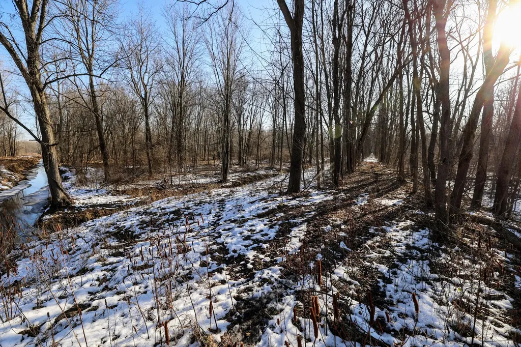 1767 Flanders Road Eaton Township MI 48813