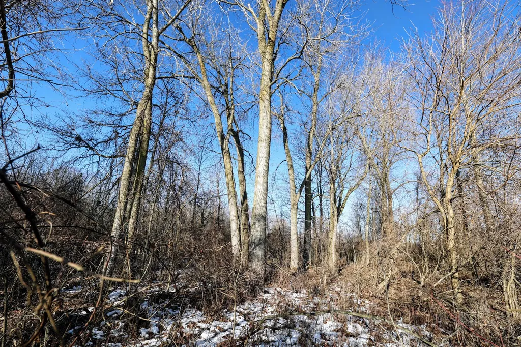 1767 Flanders Road Eaton Township MI 48813