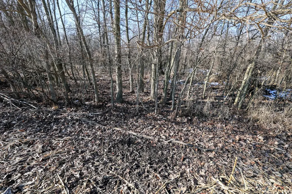 1767 Flanders Road Eaton Township MI 48813