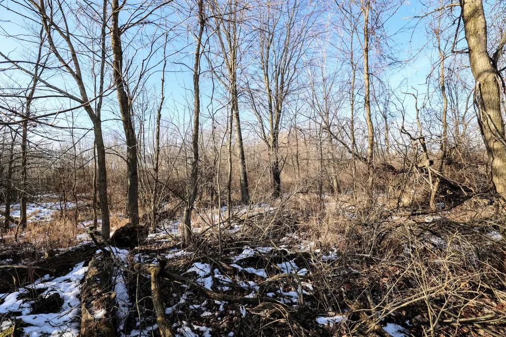 1767 Flanders Road Eaton Township MI 48813
