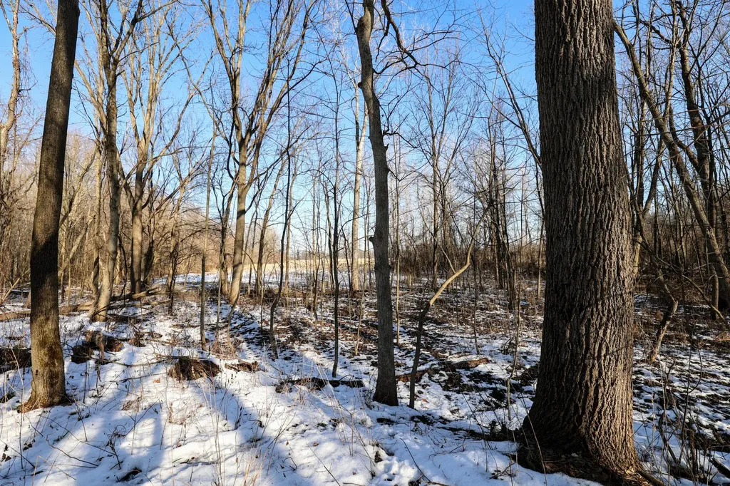 1767 Flanders Road Eaton Township MI 48813