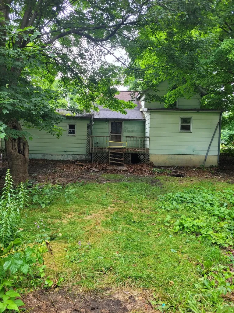 305 E Adams Street Homer Village MI 49245