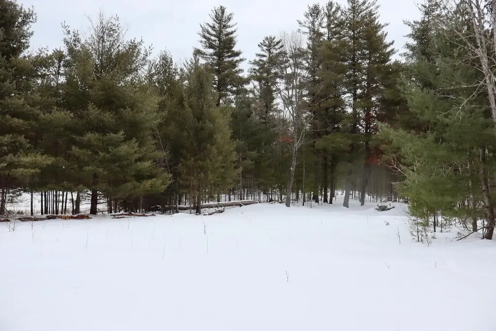 4440 W Cherry Creek Road Greenwood Township MI 49756