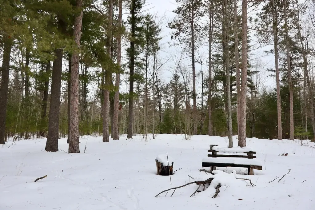 4440 W Cherry Creek Road Greenwood Township MI 49756