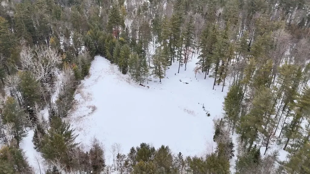 4440 W Cherry Creek Road Greenwood Township MI 49756