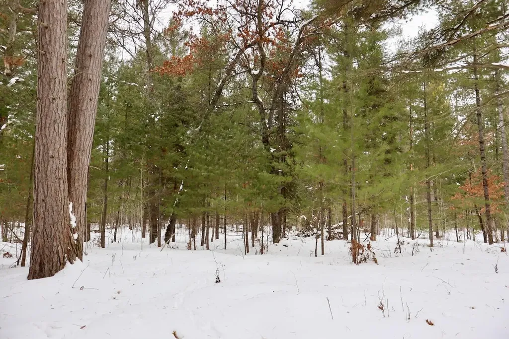 4440 W Cherry Creek Road Greenwood Township MI 49756