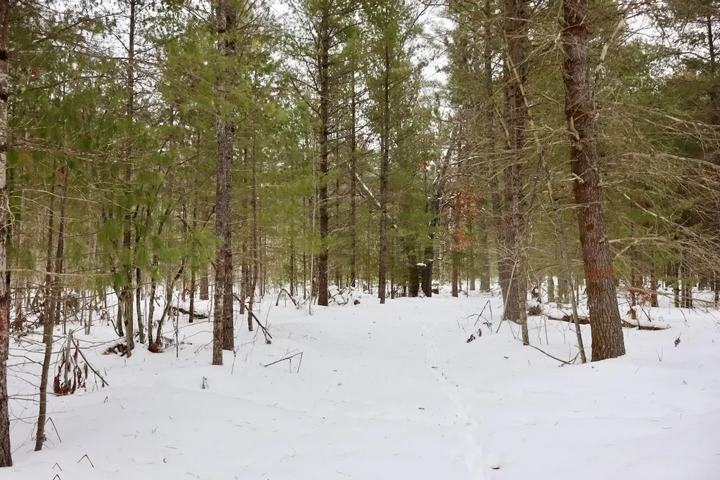 4440 W Cherry Creek Road Greenwood Township MI 49756