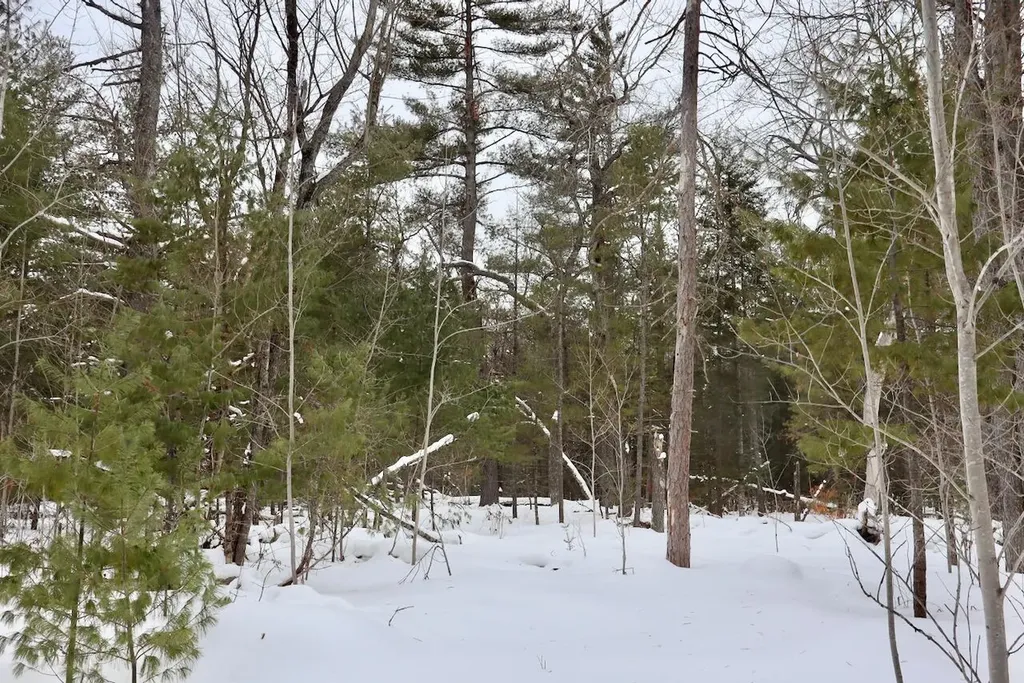 4440 W Cherry Creek Road Greenwood Township MI 49756