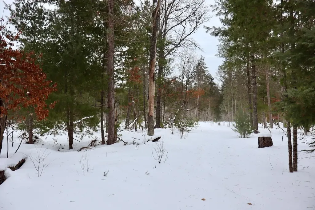 4440 W Cherry Creek Road Greenwood Township MI 49756
