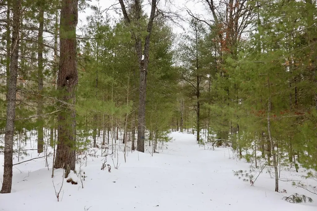 4440 W Cherry Creek Road Greenwood Township MI 49756