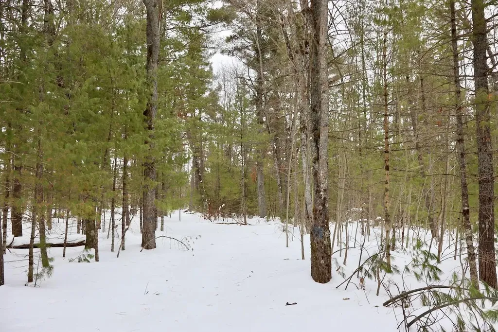 4440 W Cherry Creek Road Greenwood Township MI 49756
