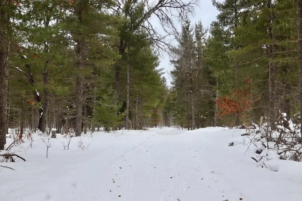4440 W Cherry Creek Road Greenwood Township MI 49756