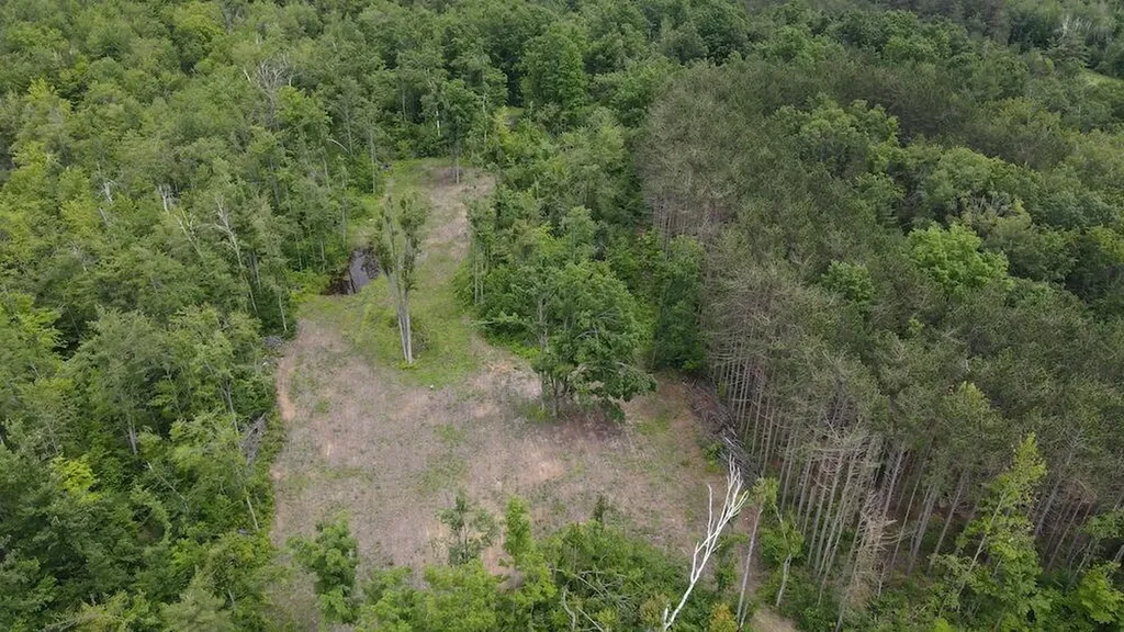 1692 N Galbraith Road Elmer Township MI 48647