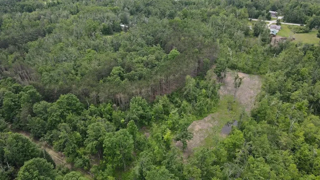 1692 N Galbraith Road Elmer Township MI 48647