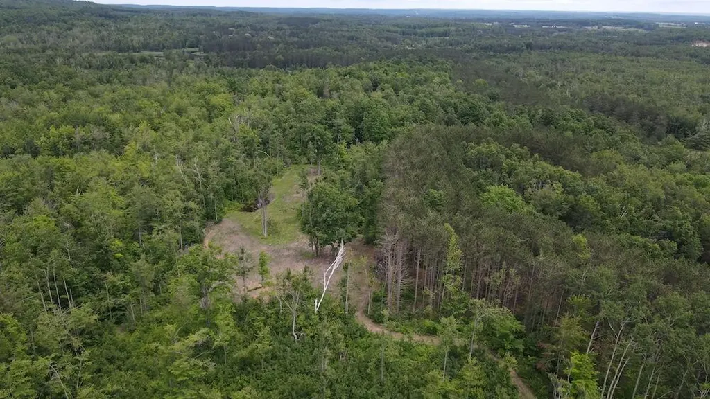 1692 N Galbraith Road Elmer Township MI 48647