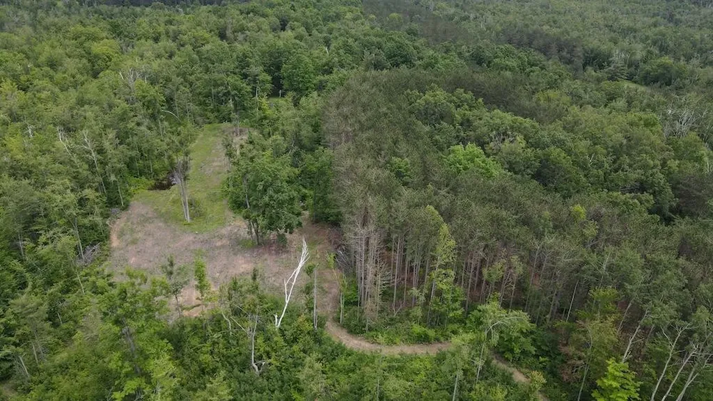 1692 N Galbraith Road Elmer Township MI 48647