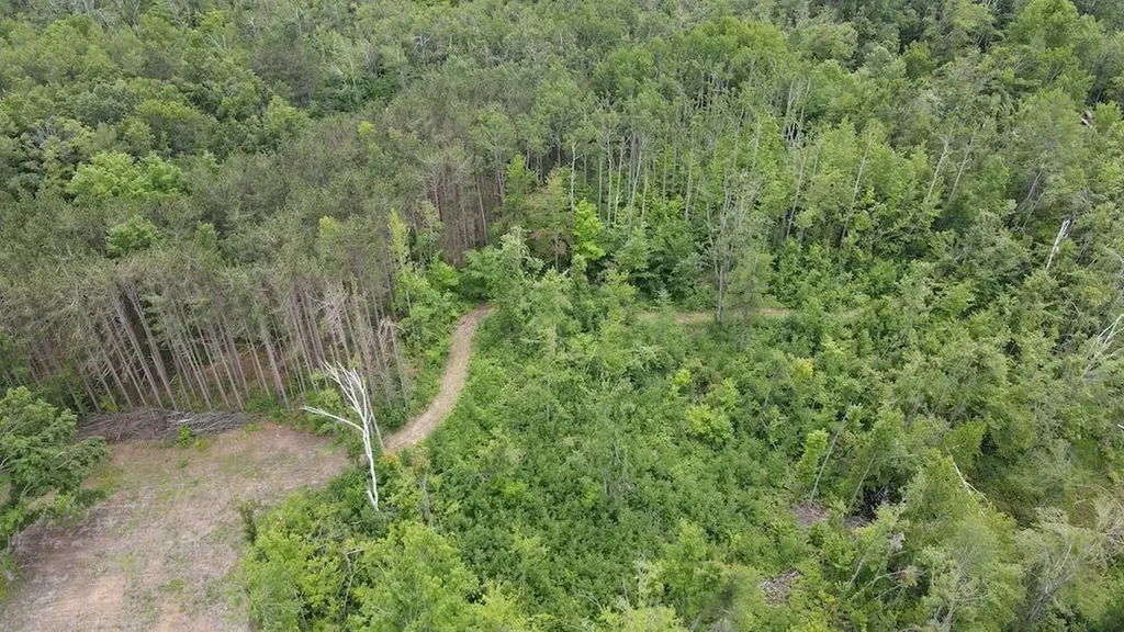 1692 N Galbraith Road Elmer Township MI 48647