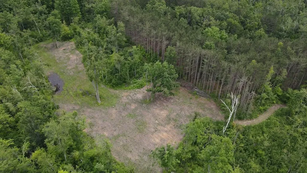 1692 N Galbraith Road Elmer Township MI 48647