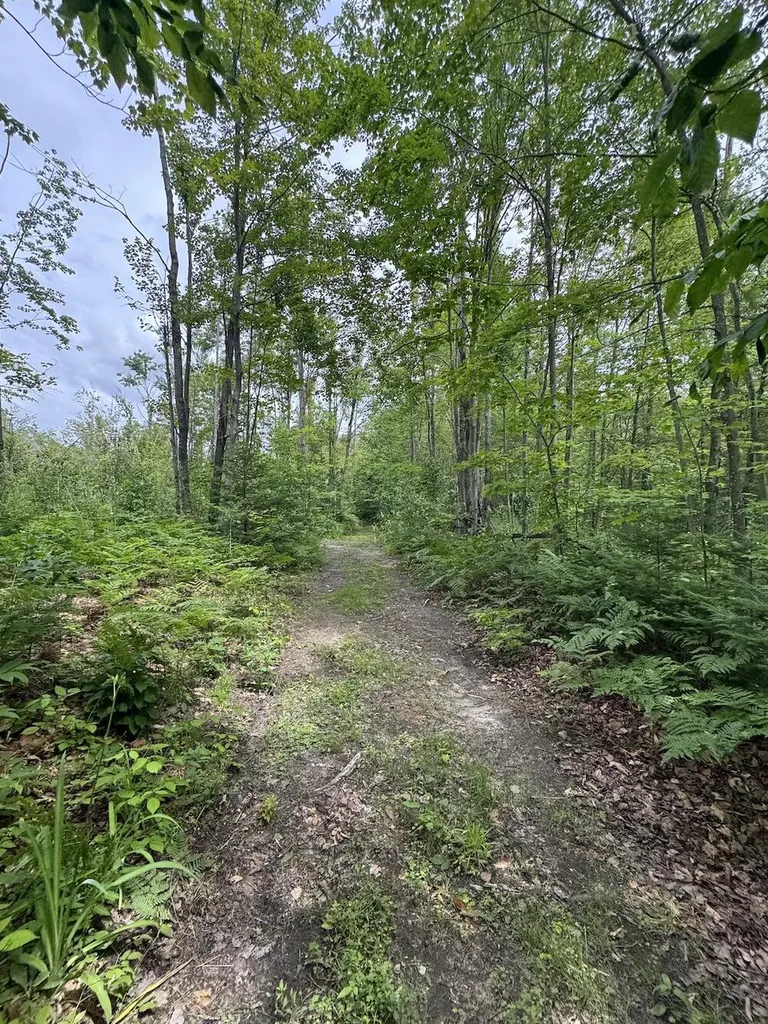 1692 N Galbraith Road Elmer Township MI 48647