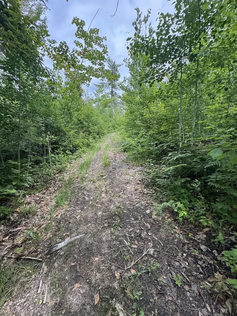 1692 N Galbraith Road Elmer Township MI 48647
