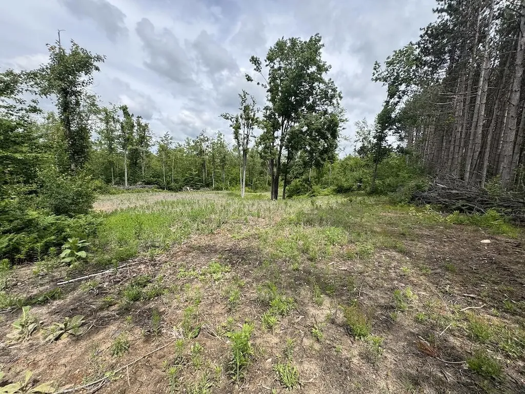 1692 N Galbraith Road Elmer Township MI 48647