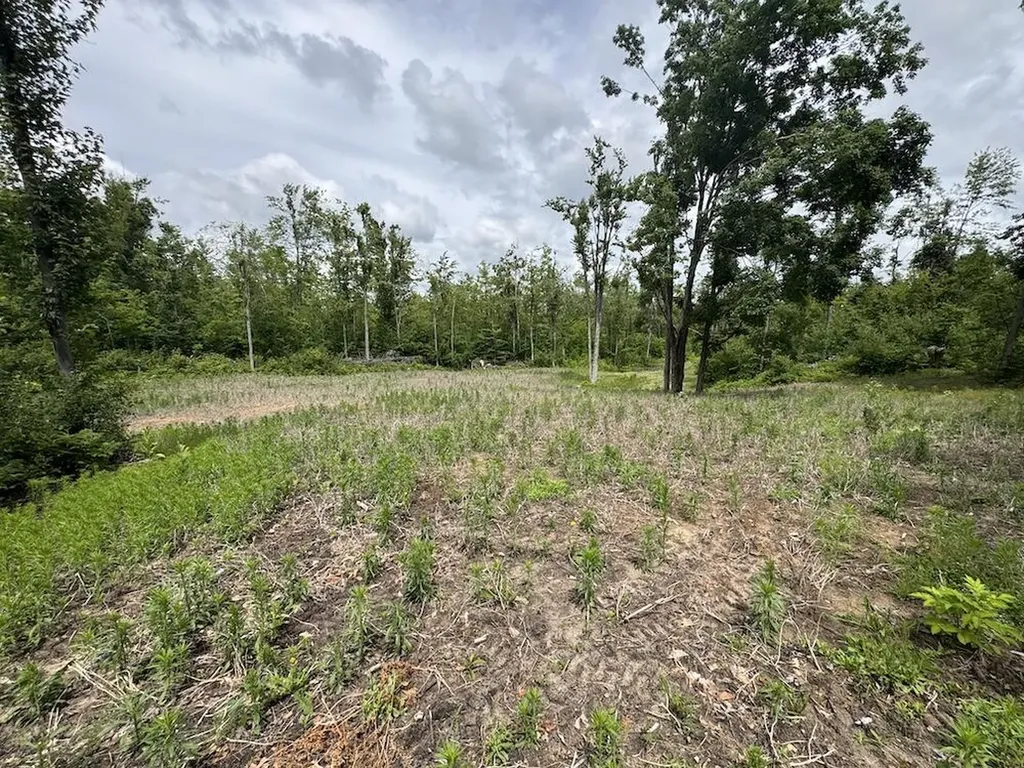 1692 N Galbraith Road Elmer Township MI 48647