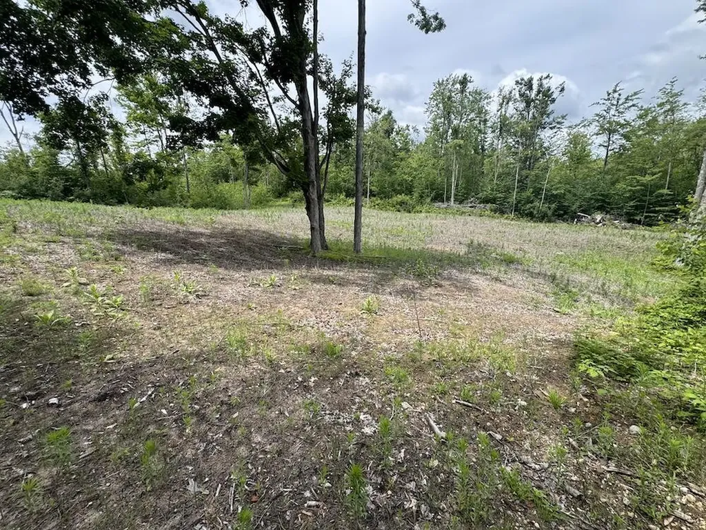 1692 N Galbraith Road Elmer Township MI 48647