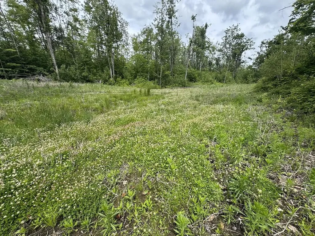 1692 N Galbraith Road Elmer Township MI 48647