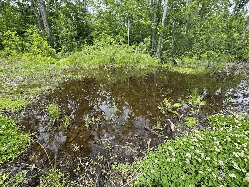 1692 N Galbraith Road Elmer Township MI 48647