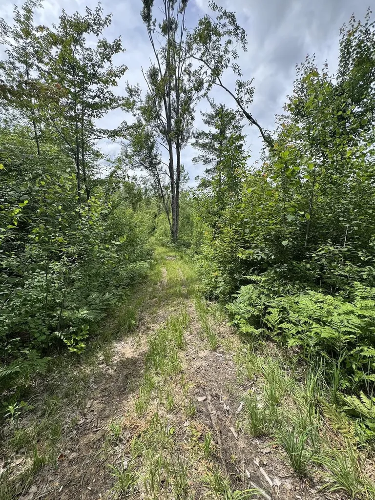 1692 N Galbraith Road Elmer Township MI 48647
