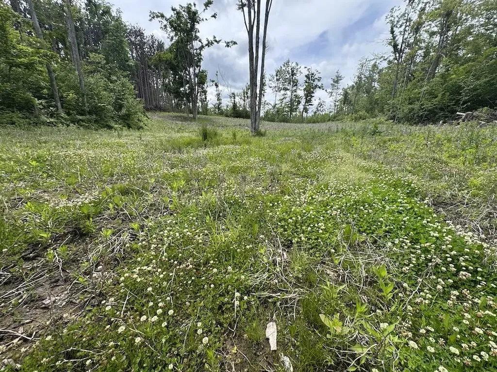 1692 N Galbraith Road Elmer Township MI 48647